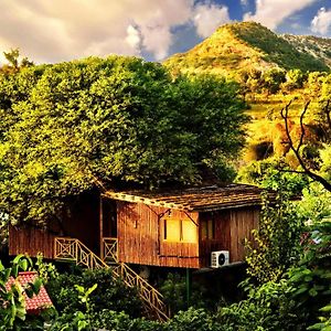 The Tree House Resort